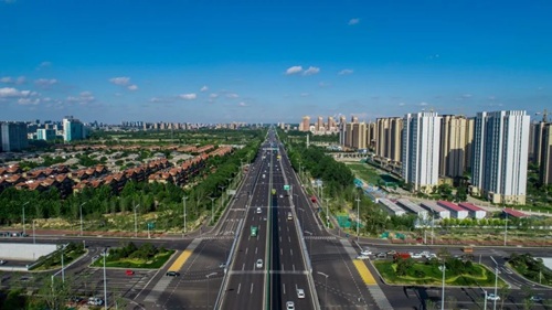 宝通街快速路工程景观绿化工程